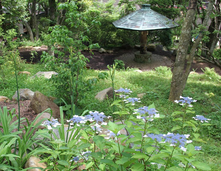 岡田美術館の庭園