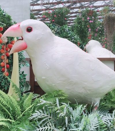 掛川花鳥園の文鳥模型1